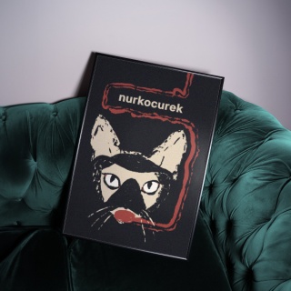 Plakat NURKOCUREK